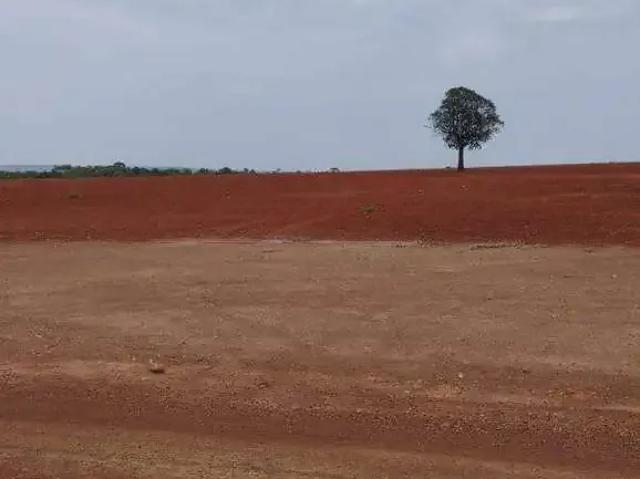 Sítio e chácara venda em Região Geográfica Imediata de Caldas Novas-Morrinhos, Morrinhos