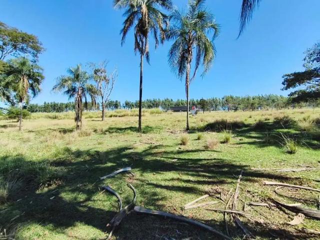 Sítio e chácara venda em Região Geográfica Imediata de Caldas Novas-Morrinhos, Morrinhos