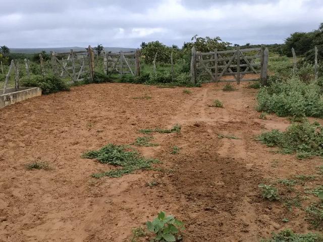 Sítio e chácara venda em Morro do Chapéu, Região Nordeste