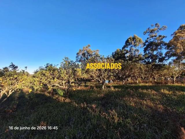 Sítio e chácara venda em Região Geográfica Imediata de Pelotas, Morro Redondo