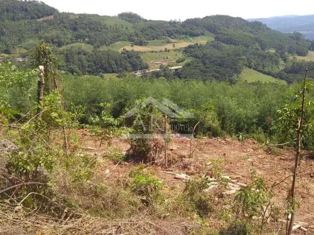 Sítio e chácara venda em Região Geográfica Imediata de Novo Hamburgo - São Leopoldo, Morro Reuter