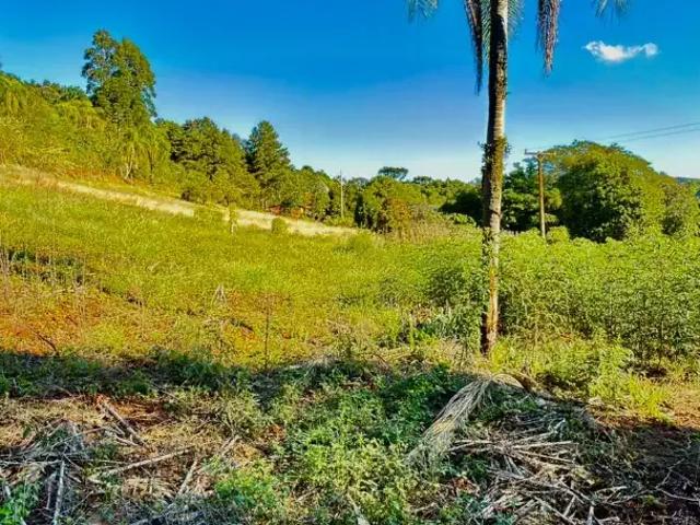 Sítio e chácara venda em Região Geográfica Imediata de Novo Hamburgo - São Leopoldo, Morro Reuter