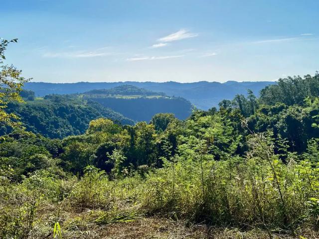 Sítio e chácara venda em Região Geográfica Imediata de Novo Hamburgo - São Leopoldo, Morro Reuter
