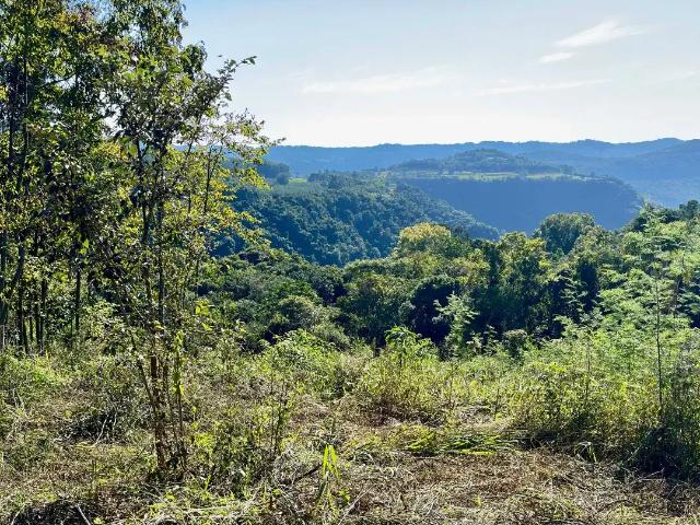 Sítio e chácara venda em Região Geográfica Imediata de Novo Hamburgo - São Leopoldo, Morro Reuter