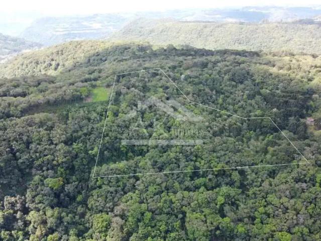Sítio e chácara venda em Região Geográfica Imediata de Novo Hamburgo - São Leopoldo, Morro Reuter