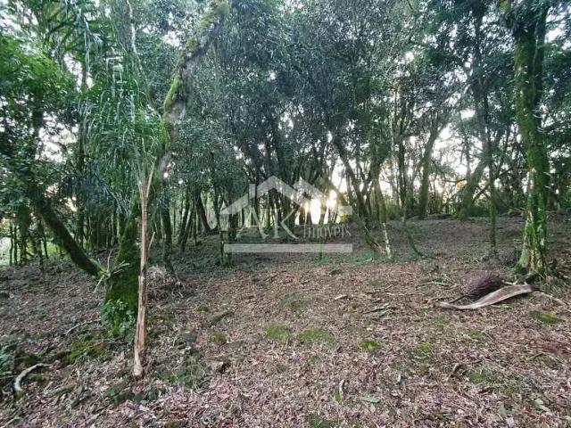 Sítio e chácara venda em Região Geográfica Imediata de Novo Hamburgo - São Leopoldo, Morro Reuter