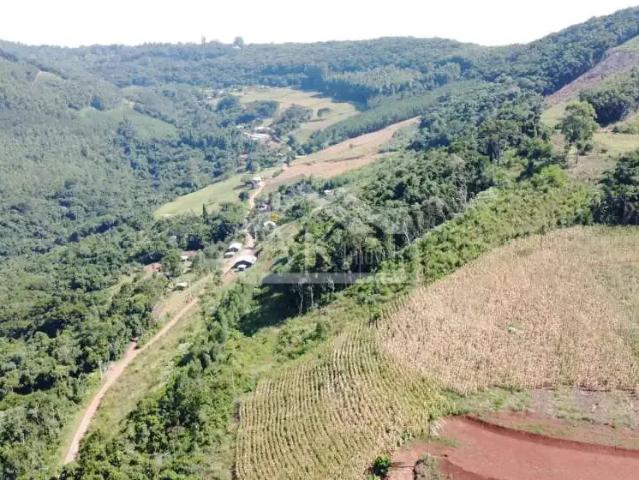 Sítio e chácara venda em Região Geográfica Imediata de Novo Hamburgo - São Leopoldo, Morro Reuter