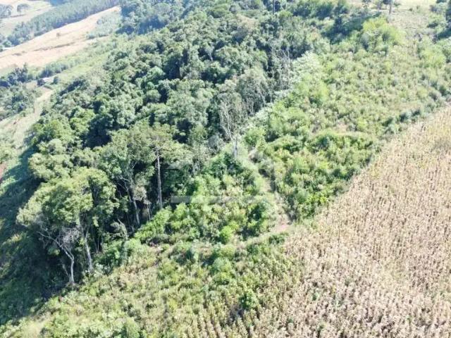 Sítio e chácara venda em Morro Reuter