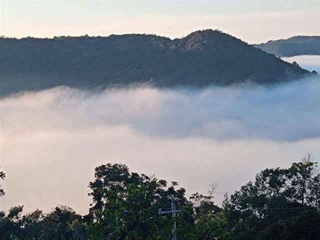 Sítio e chácara venda em Região Geográfica Imediata de Novo Hamburgo - São Leopoldo, Morro Reuter