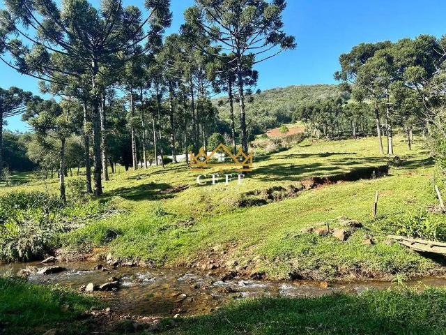 Sítio e chácara venda em Morro Reuter, Rio Grande do Sul