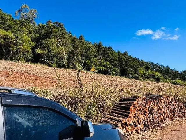 Sítio e chácara venda em Região Geográfica Imediata de Novo Hamburgo - São Leopoldo, Morro Reuter