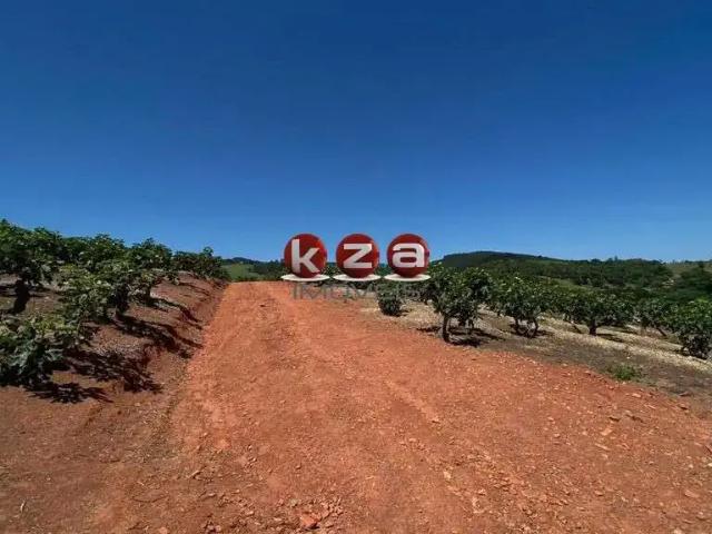 Sítio e chácara venda em Pombal
