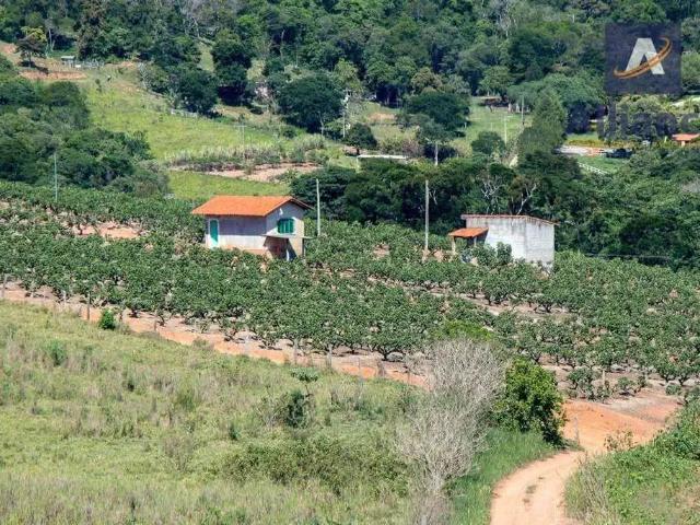Sítio e chácara venda em Região Imediata de Jundiaí, Região Metropolitana de Campinas