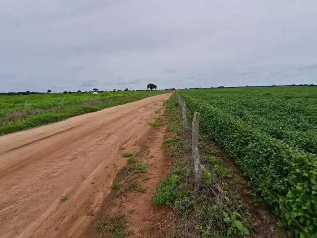 Sítio e chácara venda em Região Geográfica Imediata de Goiás - Itapuranga, Mozarlândia