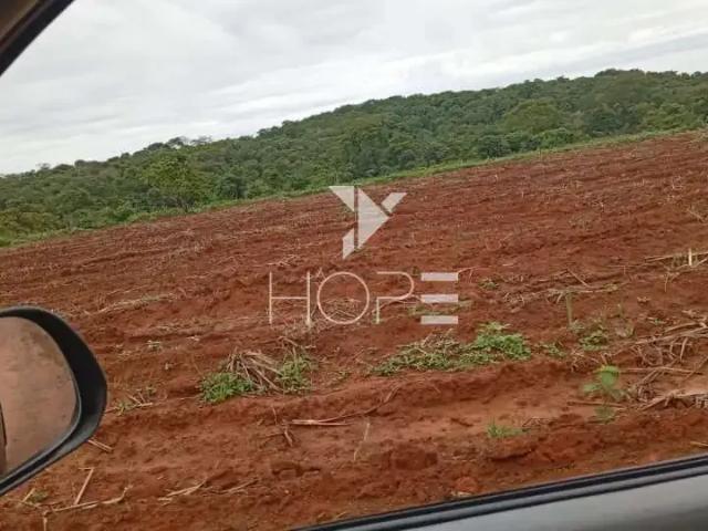 Sítio e chácara venda em Região Geográfica Imediata de Goiás - Itapuranga, Mozarlândia