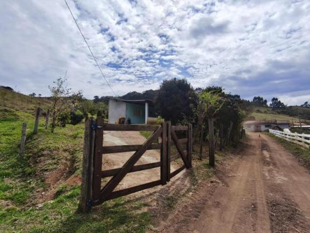 Sítio e chácara venda em Munhoz