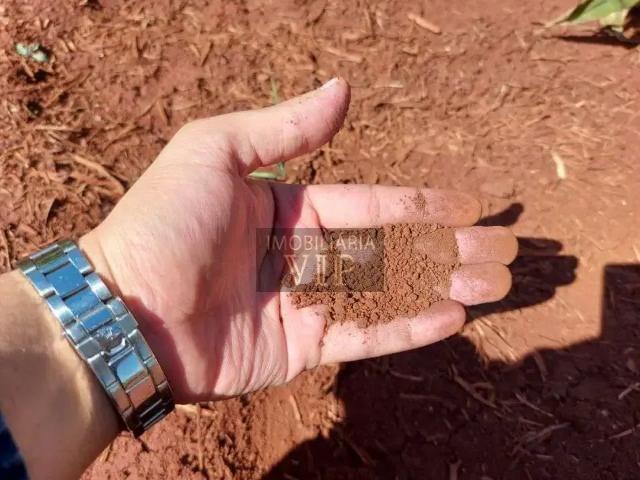 Sítio e chácara venda em Região Geográfica Imediata de Maringá, Munhoz de Melo