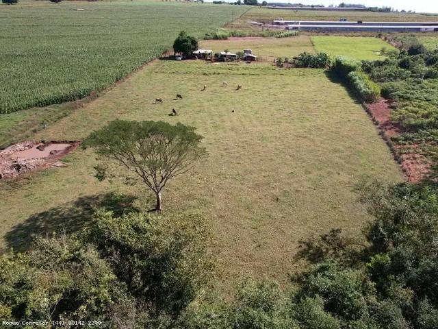 Sítio e chácara venda em Região Geográfica Imediata de Maringá, Munhoz de Melo