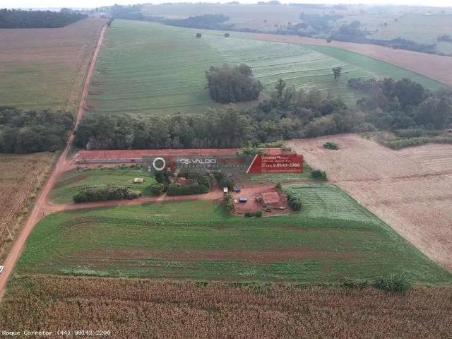 Sítio e chácara venda em Região Geográfica Imediata de Maringá, Munhoz de Melo