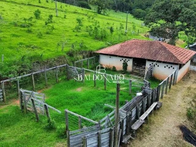 Sítio e chácara venda em Região Geográfica Imediata de Pouso Alegre, Munhoz