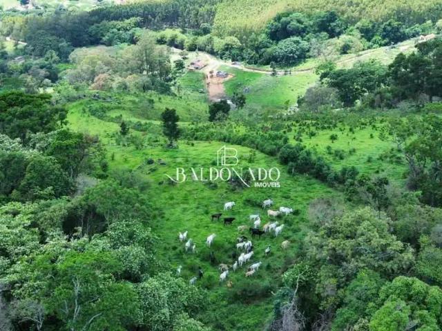 Sítio e chácara venda em Região Geográfica Imediata de Pouso Alegre, Munhoz