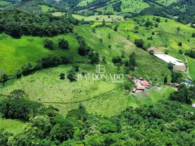 Sítio e chácara venda em Região Geográfica Imediata de Pouso Alegre, Munhoz