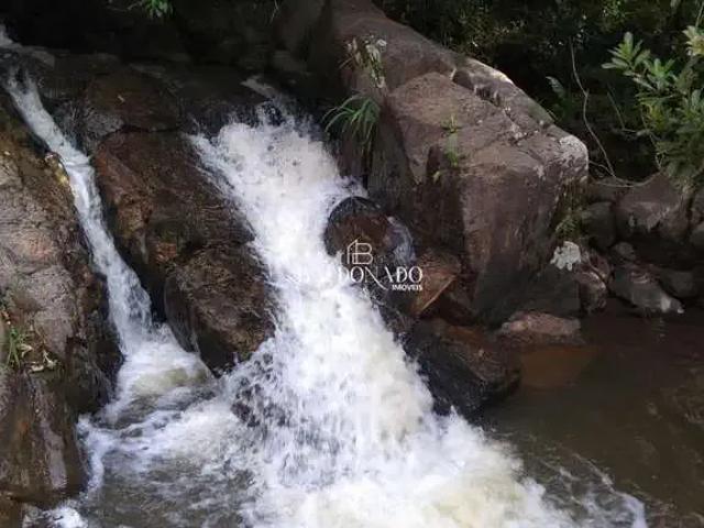 Sítio e chácara venda em Munhoz, Região Geográfica Intermediária de Pouso Alegre