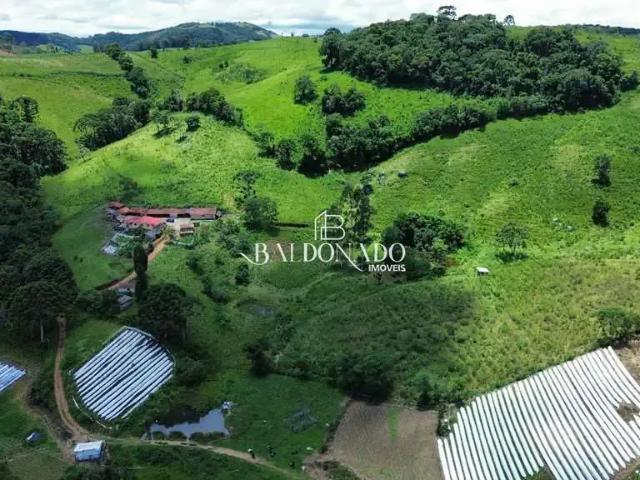 Sítio e chácara venda em Região Geográfica Imediata de Pouso Alegre, Munhoz