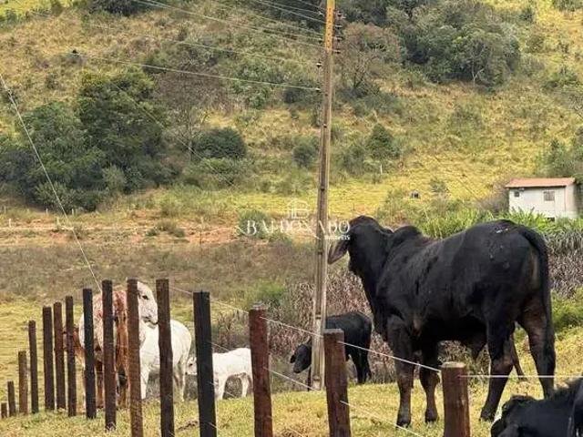 Sítio e chácara venda em Região Geográfica Imediata de Pouso Alegre, Munhoz