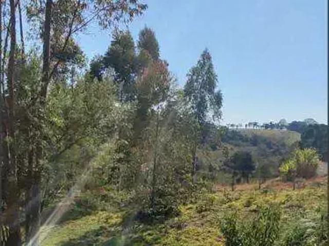 Sítio e chácara venda em Região Geográfica Imediata de Pouso Alegre, Munhoz
