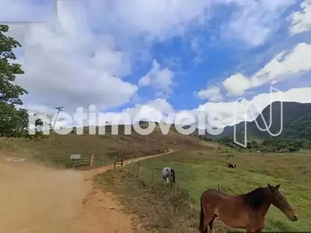 Sítio e chácara venda em Região Geográfica Imediata de Muriaé, Muriaé