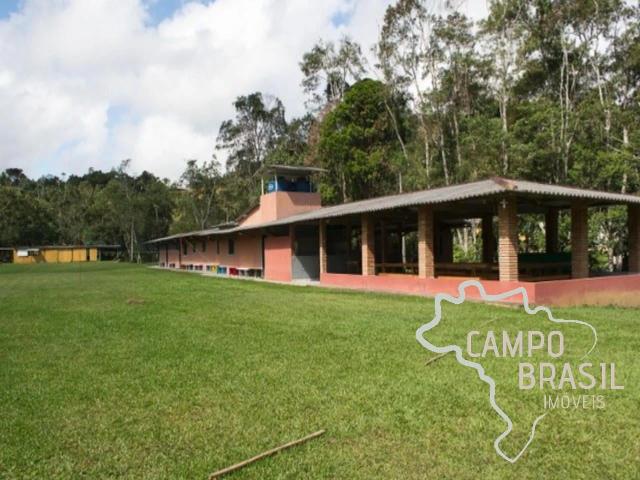 Sítio e chácara venda em Natividade da Serra