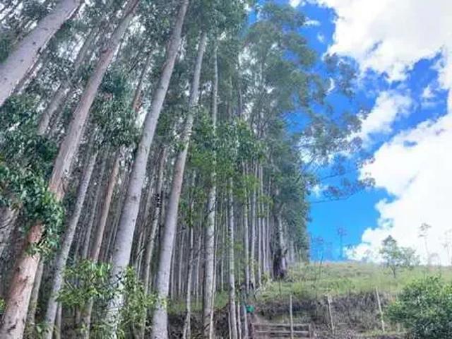 Sítio e chácara venda em Região Imediata de Taubaté-Pindamonhangaba, Região Metropolitana do Vale do Paraíba e Litoral Norte
