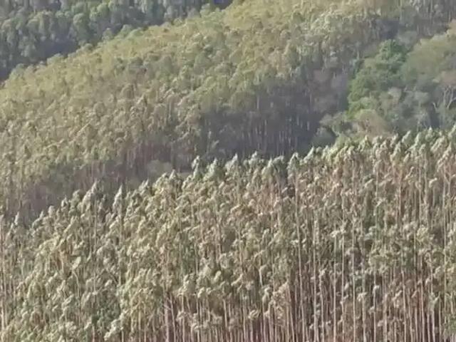 Sítio e chácara venda em Região Imediata de Taubaté-Pindamonhangaba, Região Metropolitana do Vale do Paraíba e Litoral Norte