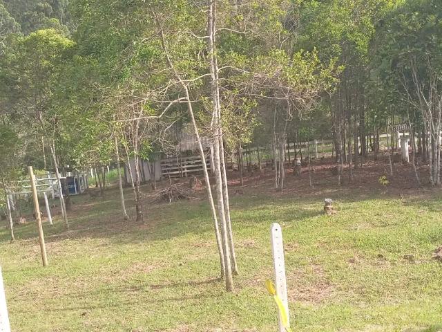 Sítio e chácara venda em Região Geográfica Imediata de Itajaí, Navegantes