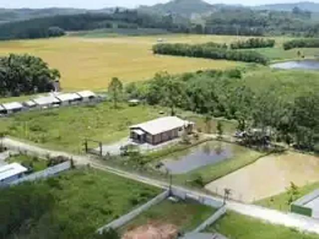 Sítio e chácara venda em Região Geográfica Imediata de Itajaí, Navegantes