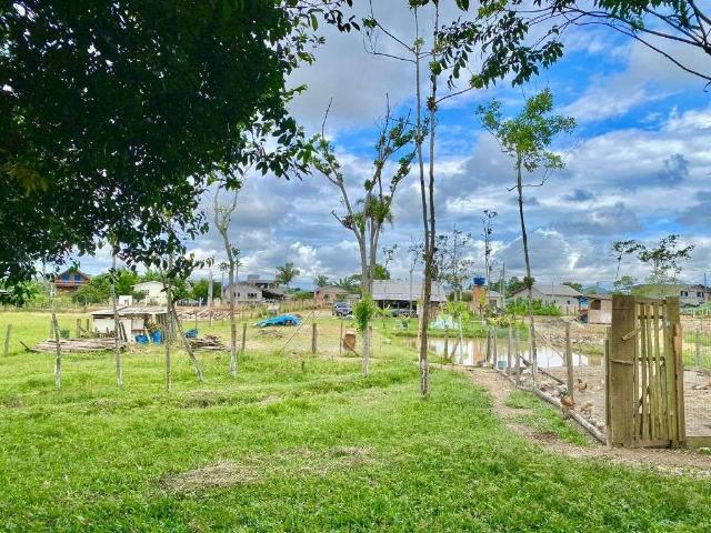 Sítio e chácara venda em Região Geográfica Imediata de Itajaí, Navegantes