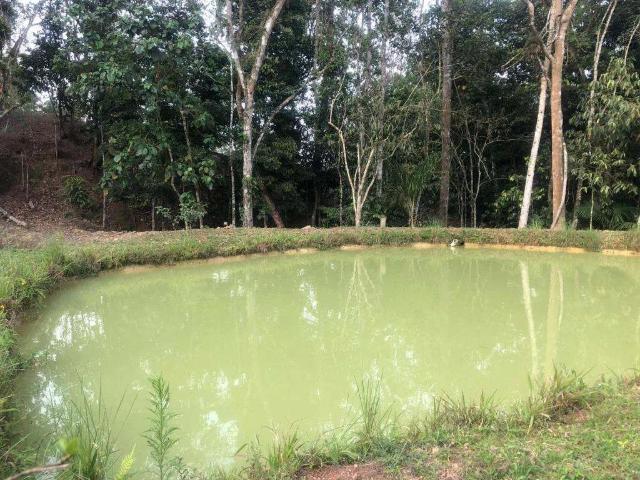 Sítio e chácara venda em Região Geográfica Imediata de Itajaí, Navegantes