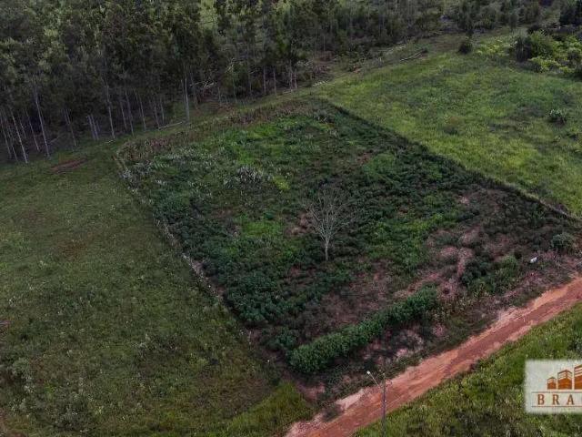 Sítio e chácara venda em Região Geográfica Imediata de Naviraí - Mundo Novo, Naviraí