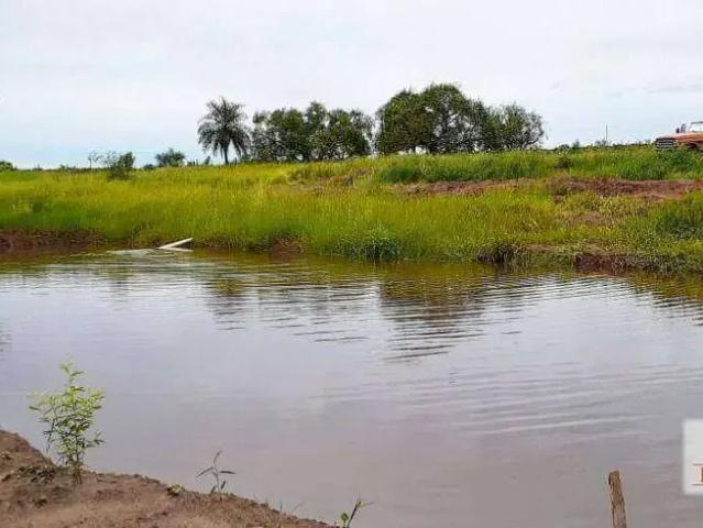 Sítio e chácara venda em Região Geográfica Imediata de Naviraí - Mundo Novo, Naviraí