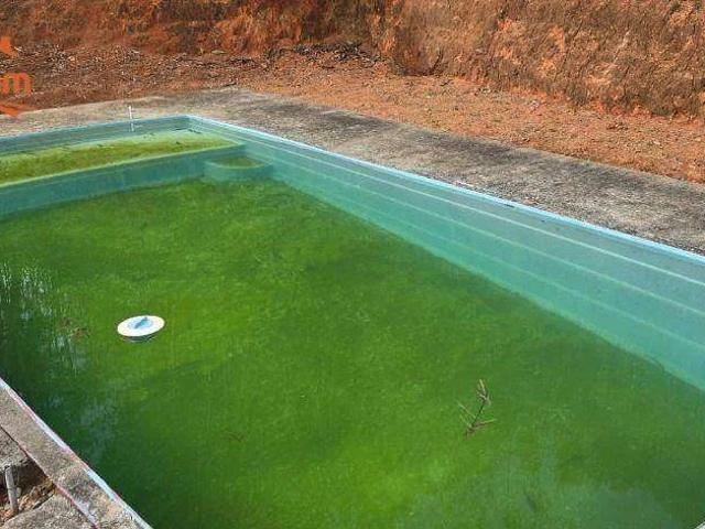 Sítio e chácara venda em Nazaré Paulista