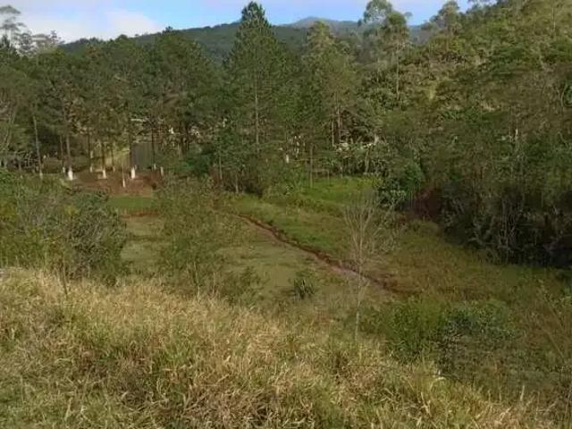 Sítio e chácara venda em Região Imediata de Bragança Paulista, Nazaré Paulista