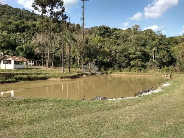 Sítio e chácara venda em Região Imediata de Bragança Paulista, Nazaré Paulista