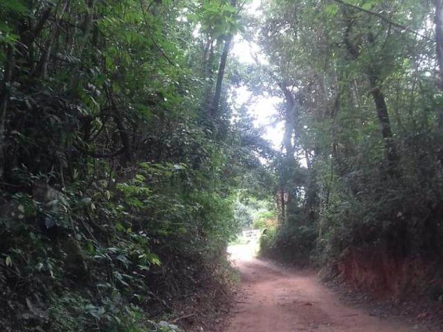 Sítio e chácara venda em Nerópolis, Região Geográfica Intermediária de Goiânia
