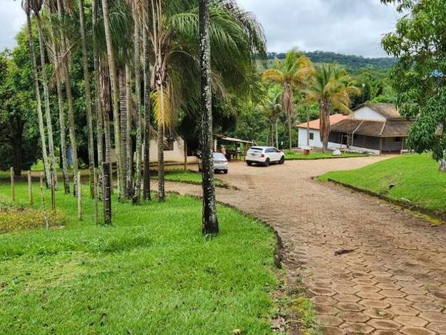 Sítio e chácara venda em Nerópolis