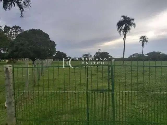 Sítio e chácara venda em Região Imediata de São José do Rio Preto, Região Metropolitana de São José do Rio Preto