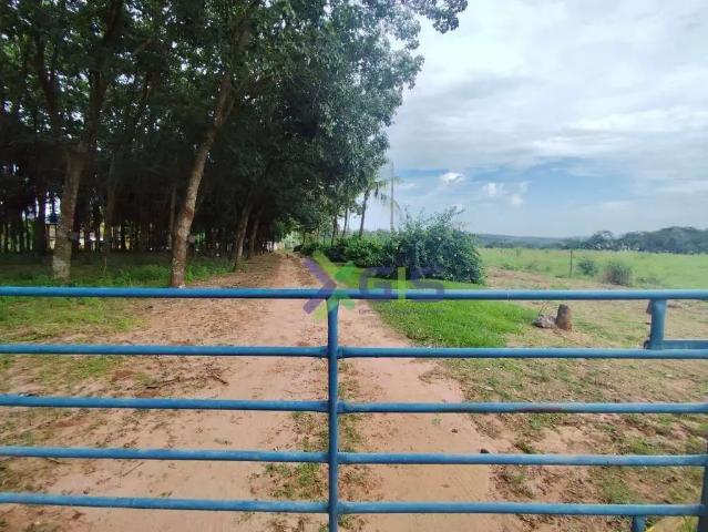 Sítio e chácara venda em Região Imediata de São José do Rio Preto, Região Metropolitana de São José do Rio Preto