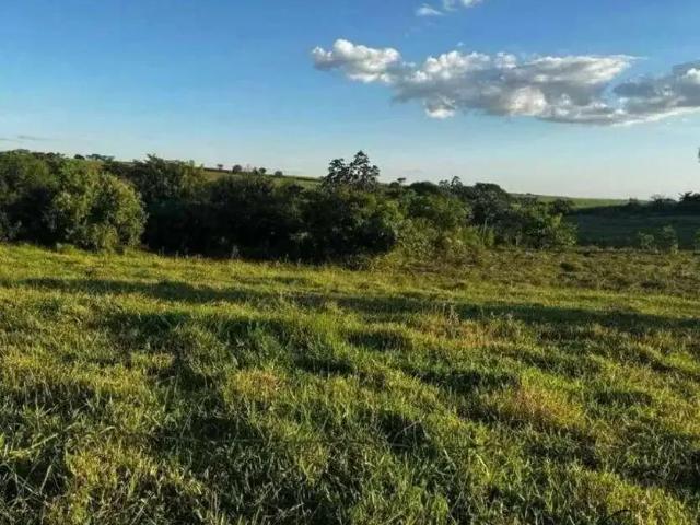 Sítio e chácara venda em Região Imediata de São José do Rio Preto, Região Metropolitana de São José do Rio Preto