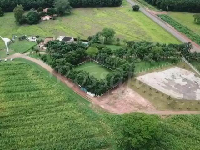 Sítio e chácara venda em Região Imediata de São José do Rio Preto, Região Metropolitana de São José do Rio Preto