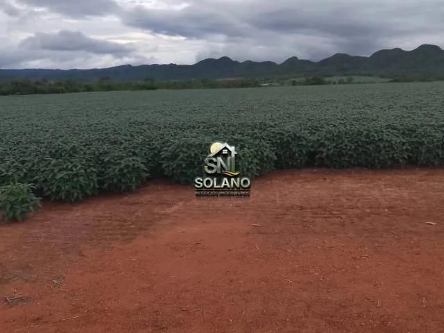 Sítio e chácara venda em Bela Vista, Niquelândia